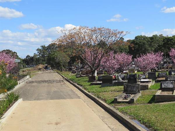 Rookwood Cemetery (10/11/2016 - Credits: Peter Hicks)