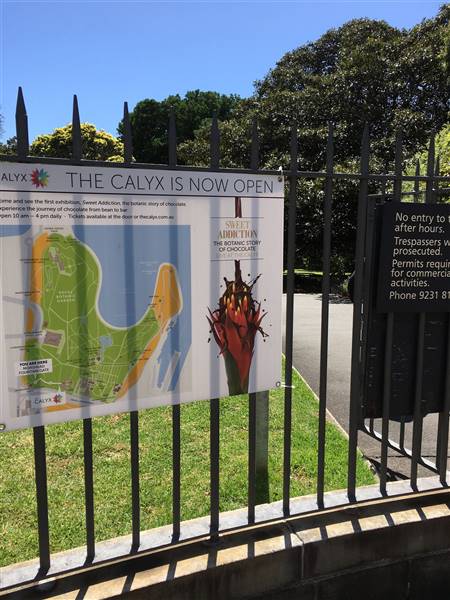 The Calyx - Royal Botanic Garden Sydney (11/11/2016)
