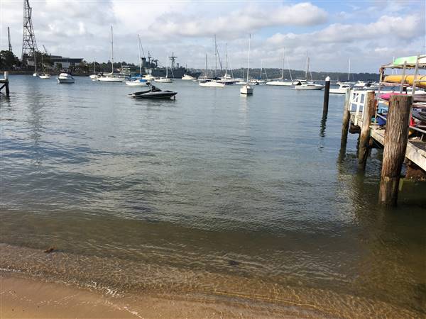 Beare Park Elizabeth Bay Marina (30/11/2016 - Credits: Mechele Axford)