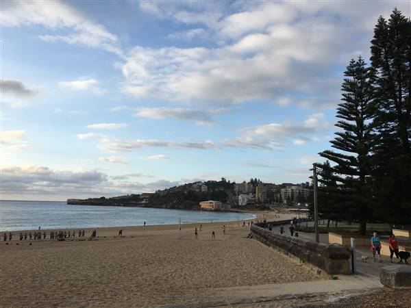 Coogee Beach North - South View (28/11/2016 - Credits: Mechele Axford)