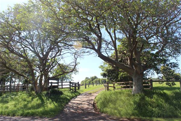 Rosebank Farm (1/04/2017 - Credits: Diana McLaren)