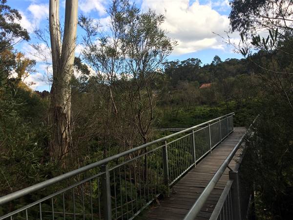 The Gully Walk, Katoomba (formerly Catalina Park) (24/05/2017 - Credits: Robyn Bersten)