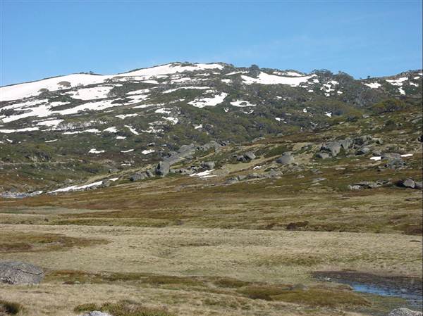Snowy Mountains region (12/07/2017 8:28:19 PM)