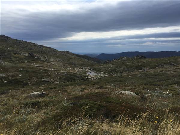 Snowy Mountains region (12/07/2017)