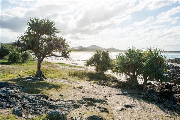 Hastings Point (26/07/2017)