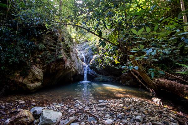 Tunsted Private Property Crystal Creek Valley (1/06/2017 - Credits: Colin McDougall)