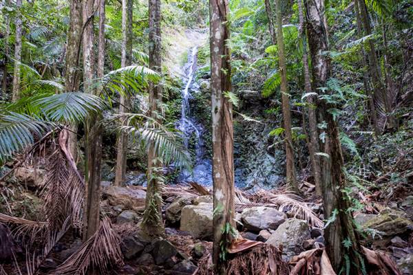 Tunsted Private Property Crystal Creek Valley (1/06/2017 - Credits: Colin McDougall)
