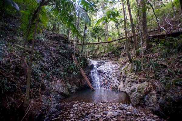 Tunsted Private Property Crystal Creek Valley (1/06/2017 - Credits: Colin McDougall)