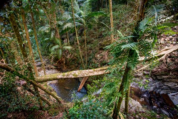 Tunsted Private Property Crystal Creek Valley (1/06/2017 - Credits: Colin McDougall)