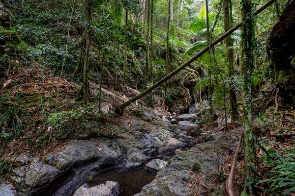 Tunsted Private Property Crystal Creek Valley (1/06/2017 - Credits: Colin McDougall)