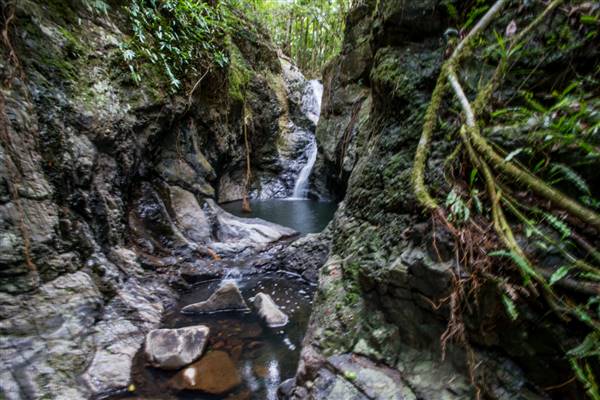 Tunsted Private Property Crystal Creek Valley (1/06/2017 - Credits: Colin McDougal)