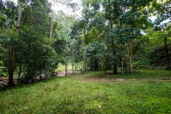 Tunsted Private Property Crystal Creek Valley (8/06/2017 - Credits: Colin McDougal)