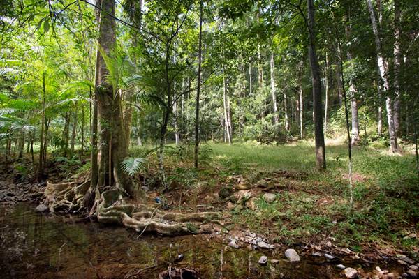 Tunsted Private Property Crystal Creek Valley (8/06/2017 - Credits: Colin McDougal)