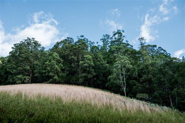 Tunsted Private Property Crystal Creek Valley (1/06/2017 - Credits: Colin McDougal)