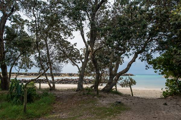 Brunswick Head Estuaries 2017 (27/07/2017 - Credits: Colin McDougall)