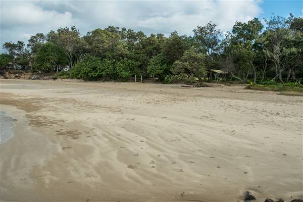 Brunswick Head Estuaries 2017 (27/07/2017 - Credits: Colin McDougall)