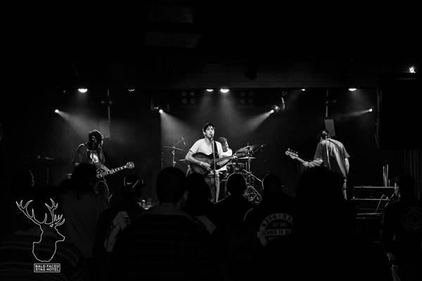 Bald Faced Stag Hotel (8/01/2017)