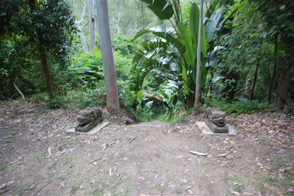 Private Property - Upper Colo (21/12/2017)