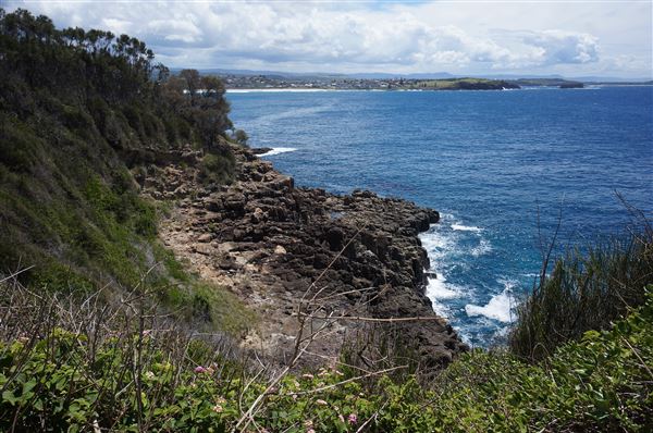 Bombo Headland Quarry (2/02/2018 - Credits: Mary Barltrop)