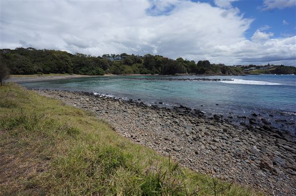 Cameron Boyd Reserve (2/02/2018 - Credits: Mary Barltrop)