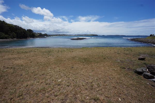 Cameron Boyd Reserve (2/02/2018 - Credits: Mary Barltrop)