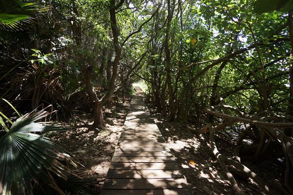 Cameron Boyd Reserve (2/02/2018 - Credits: Mary Barltrop)