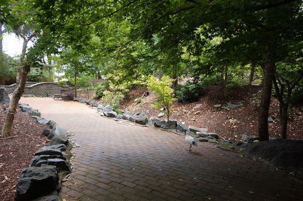 Auburn Botanic Gardens - Japanese Garden (4/02/2018 - Credits: Mary Barltrop)