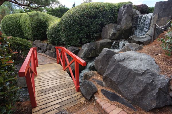 Auburn Botanic Gardens - Japanese Garden (4/02/2018 - Credits: Mary Barltrop)