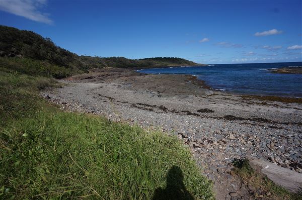 Bass Point Reserve (2/02/2018 - Credits: Mary Barltrop)