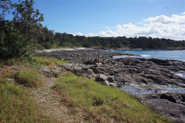 Bass Point Reserve (2/02/2018 - Credits: Mary Barltrop)