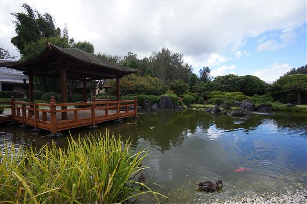 Edogawa Japanese Garden (4/02/2018 - Credits: Mary Barltrop)