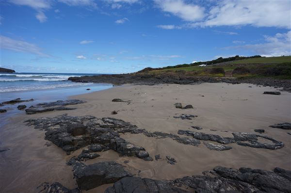 Killalea Regional Park (2/02/2018 - Credits: Mary Barltrop)