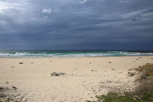 Dalmeny (6/08/2018 - Credits: Lisa Scope)