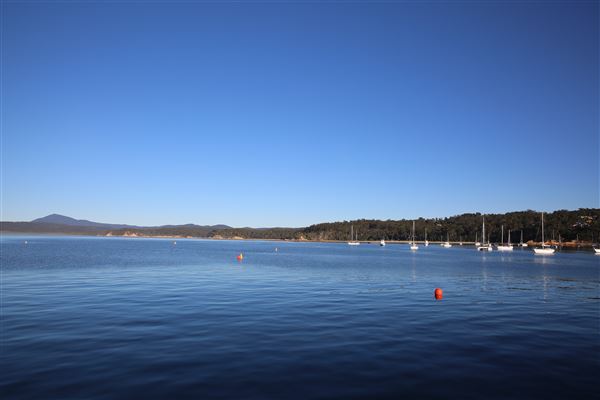 Eden (4/08/2018 - Credits: Lisa Scope)