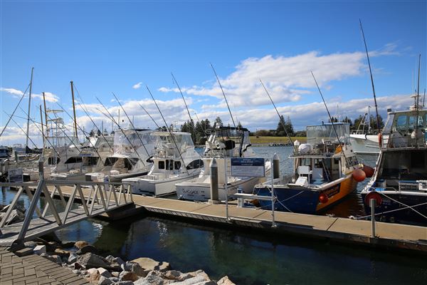 Bermagui (4/08/2018 - Credits: Lisa Scope)