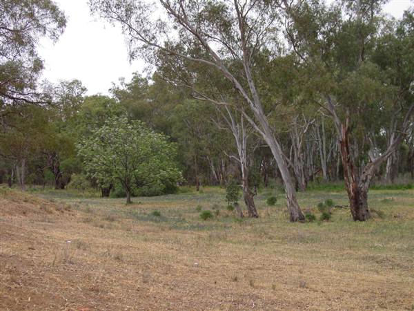 Whylandra Crossing, Dubbo (22/08/2018 10:29:39 PM)