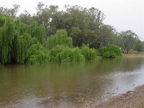 Whylandra Crossing, Dubbo (22/08/2018 10:29:40 PM)