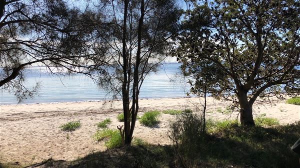 Bonna Point Reserve (23/05/2018 - Credits: Shannon Wheeler)