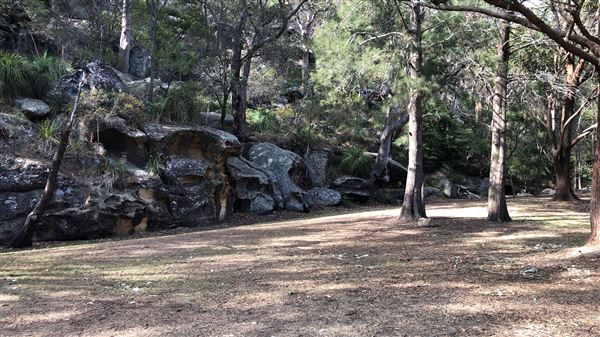 Bonnet Bay - Burnum Burnum Sanctuary & Tom Evans Field (23/05/2018 - Credits: Shannon Wheeler)