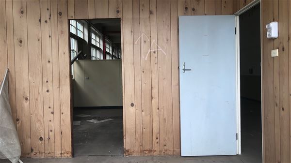 Cockatoo Island - Ship Design Precinct (31/08/2018 - Credits: Shannon Wheeler)