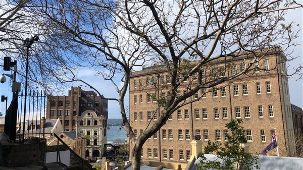 Foundation Park (5/09/2018 - Credits: Shannon Wheeler)