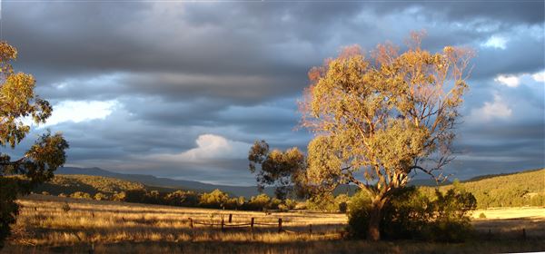 Narrabri Shire (21/09/2017 - Credits: Michael Dahlem)