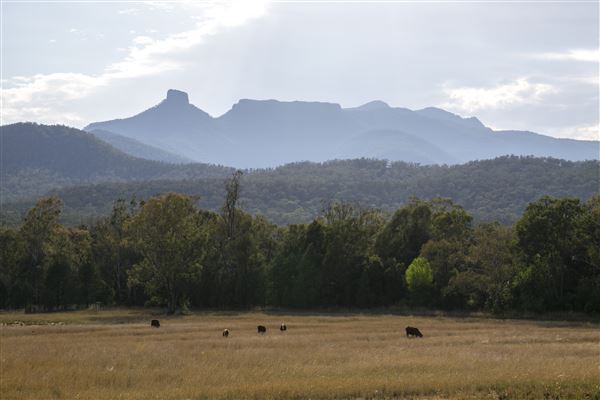 Narrabri Shire (21/09/2017 - Credits: Shane Strudwick)