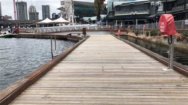 Darling Harbour (26/10/2018 - Credits: Shannon Wheeler)