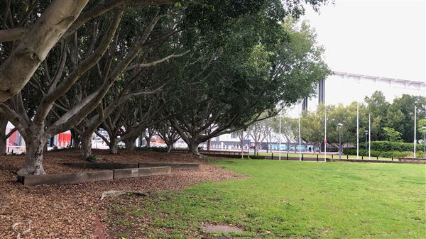 Pyrmont Bay Park (26/10/2018 - Credits: Shannon Wheeler)