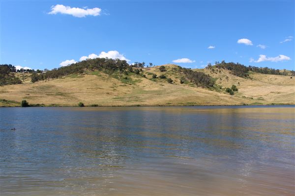Lake Lyell (16/01/2018)