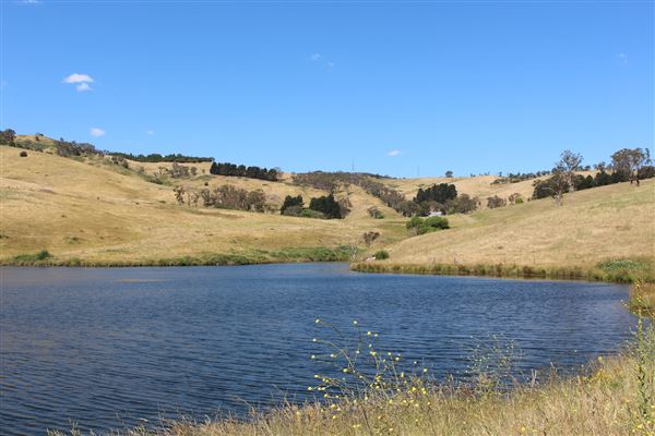 Lake Lyell (16/01/2018)