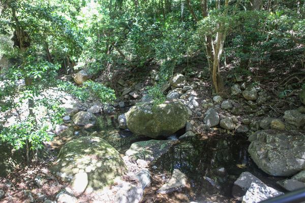 Minnamurra Rainforest Walk - Budderoo National Park (30/10/2018)