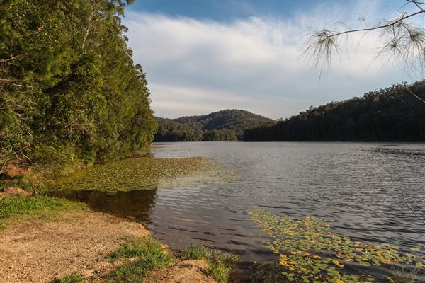 Clarrie Hall Dam (1/11/2018)