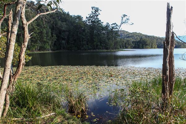 Clarrie Hall Dam (1/11/2018)